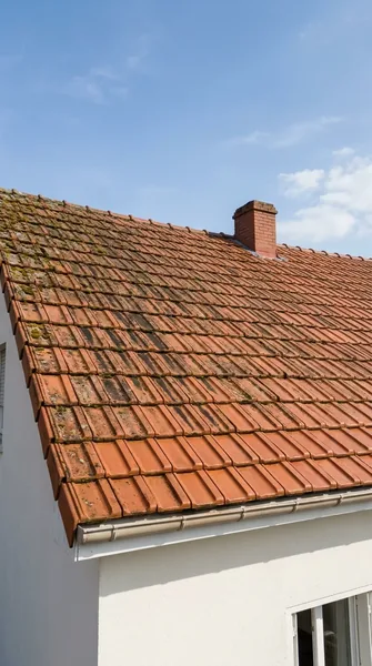 Isabelle V.
